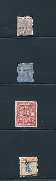 BRITISH AMERICA – 426273