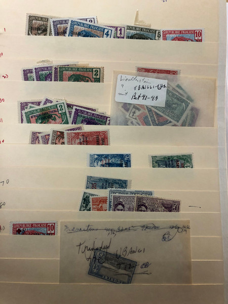 INTERNATIONAL SELECTION - 426244