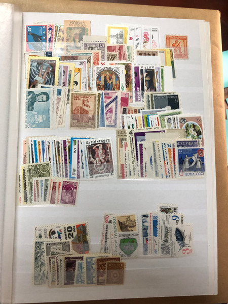 MINT INTERNATIONAL SELECTION – 426565