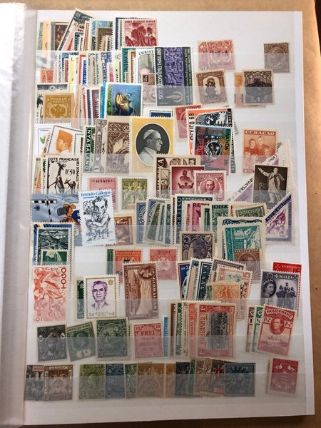 INTERNATIONAL MINT SELECTION – 426506