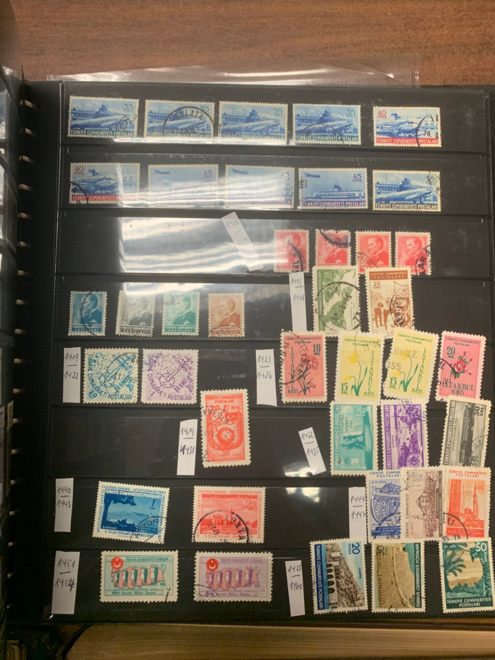 INTERNATIONAL SELECTION – 426117