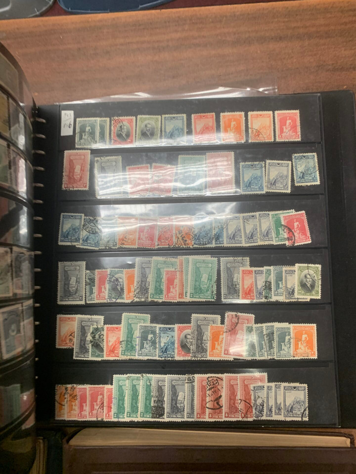 INTERNATIONAL SELECTION – 426117