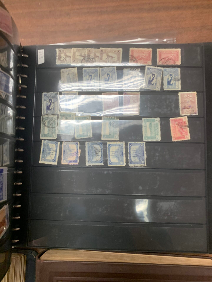 INTERNATIONAL SELECTION – 426117