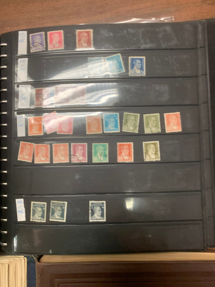 INTERNATIONAL SELECTION – 426117