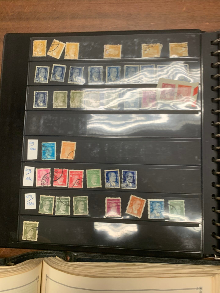 INTERNATIONAL SELECTION – 426117