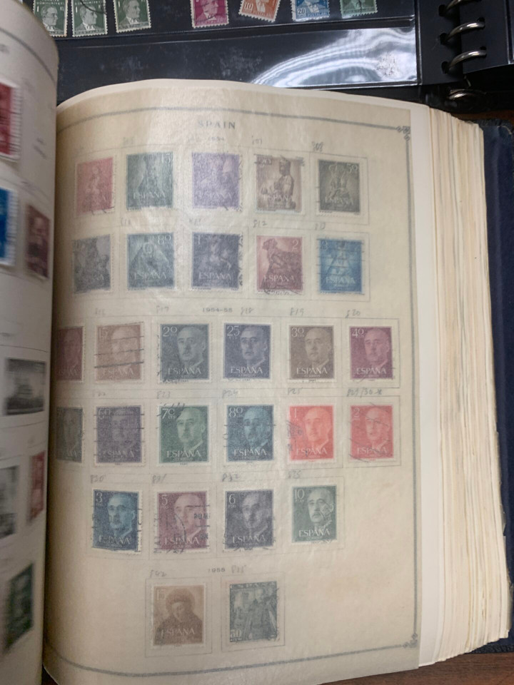 INTERNATIONAL SELECTION – 426117