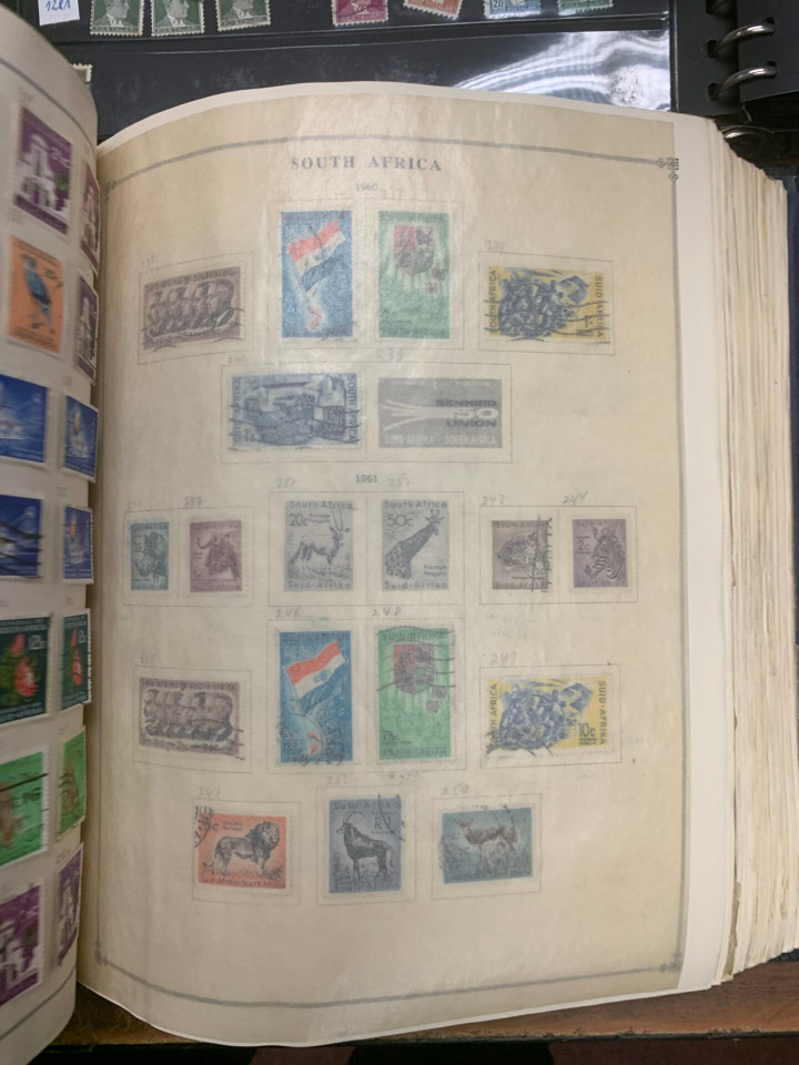 INTERNATIONAL SELECTION – 426117