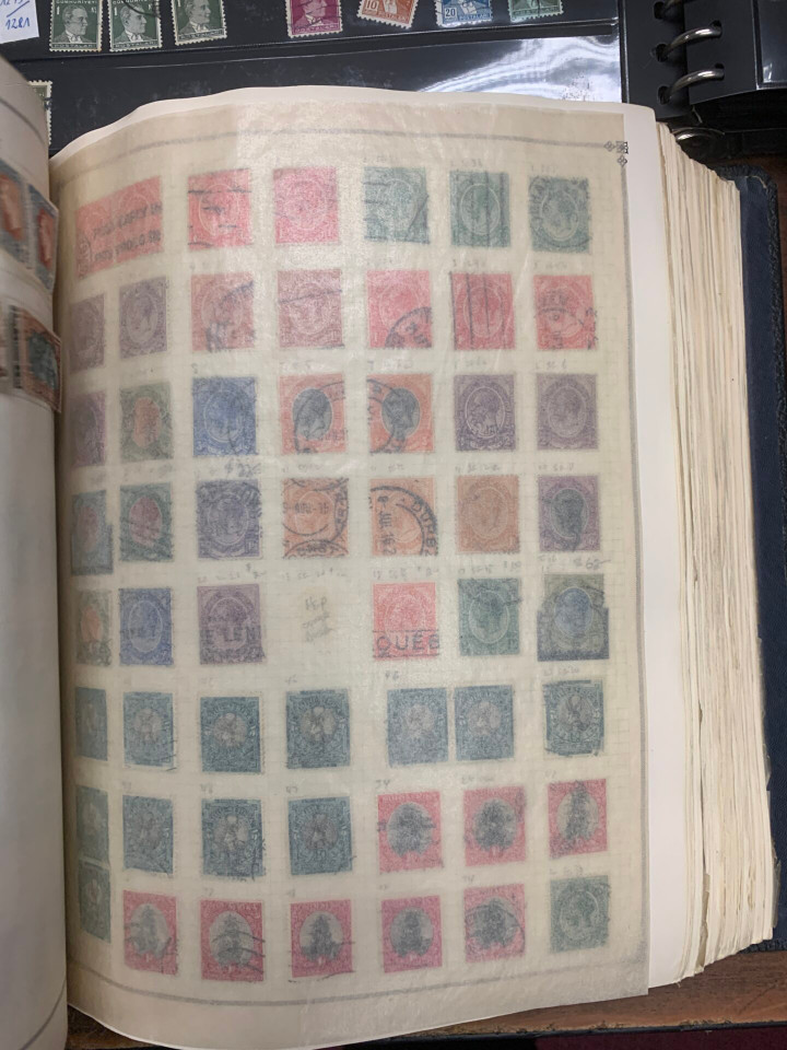 INTERNATIONAL SELECTION – 426117