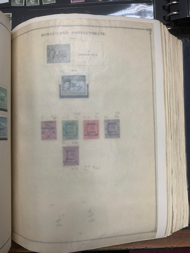 INTERNATIONAL SELECTION – 426117