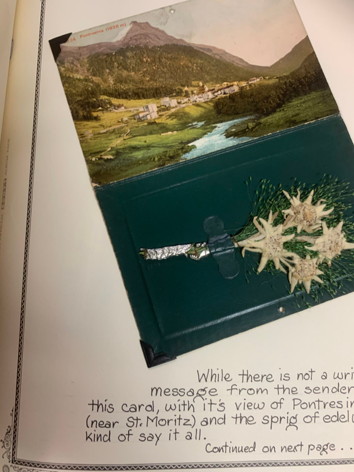 SWITZERLAND – COLLECTION IN A PAIR OF SCOTT SPECIALTY ALBUMS – 426029