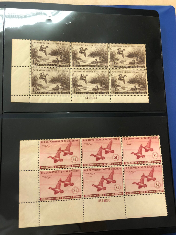 DUCKS – PREMIUM PLATE NUMBER BLOCKS – 426091