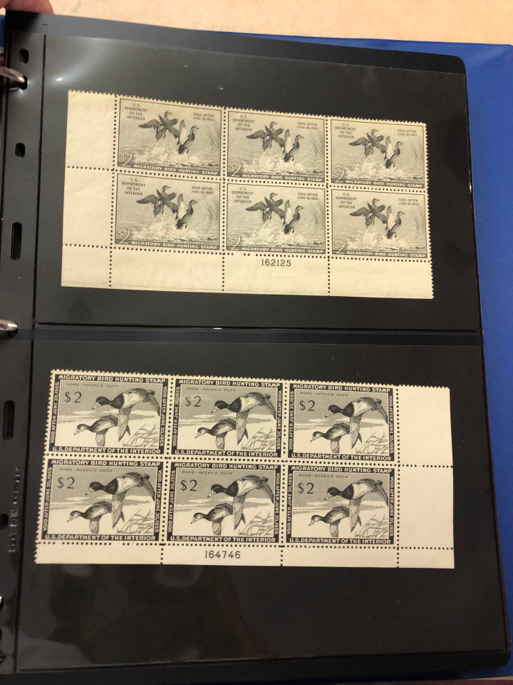 DUCKS – PREMIUM PLATE NUMBER BLOCKS – 426091