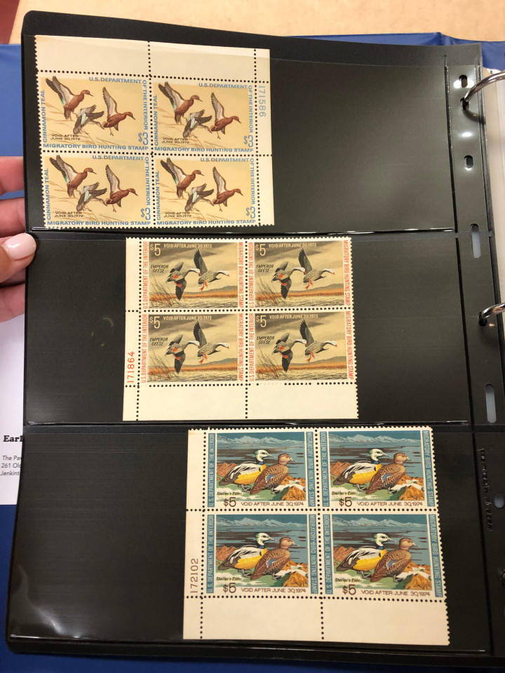 DUCKS – PREMIUM PLATE NUMBER BLOCKS – 426091