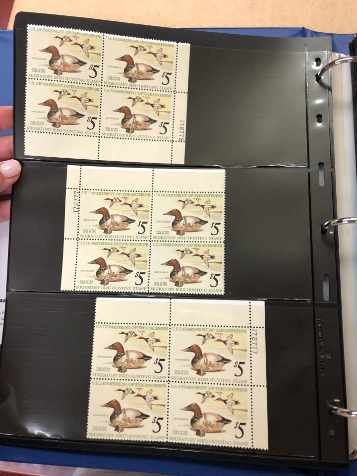 DUCKS – PREMIUM PLATE NUMBER BLOCKS – 426091