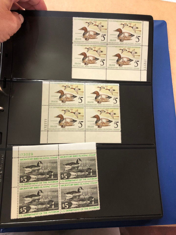 DUCKS – PREMIUM PLATE NUMBER BLOCKS – 426091