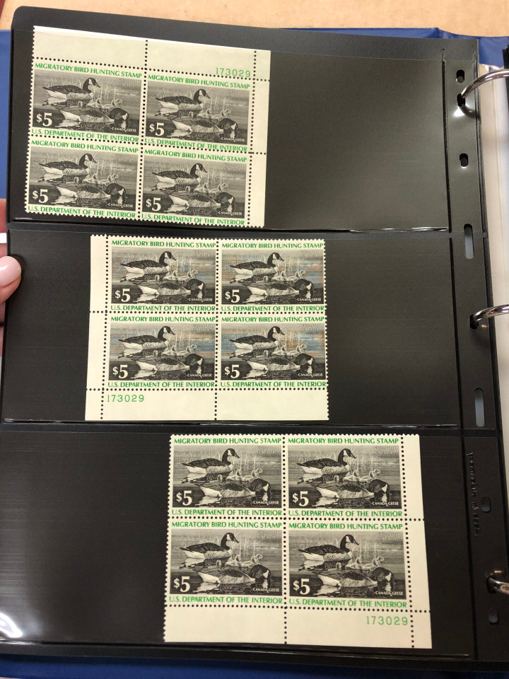 DUCKS – PREMIUM PLATE NUMBER BLOCKS – 426091