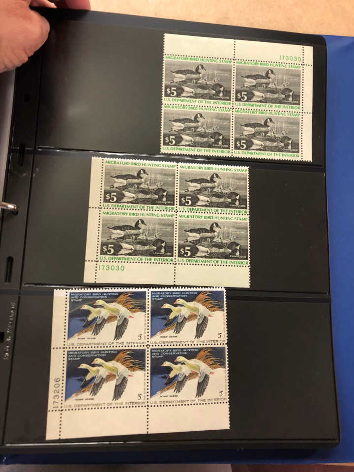 DUCKS – PREMIUM PLATE NUMBER BLOCKS – 426091