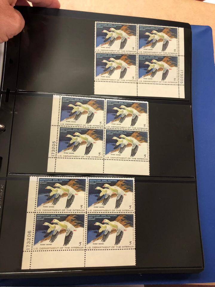 DUCKS – PREMIUM PLATE NUMBER BLOCKS – 426091