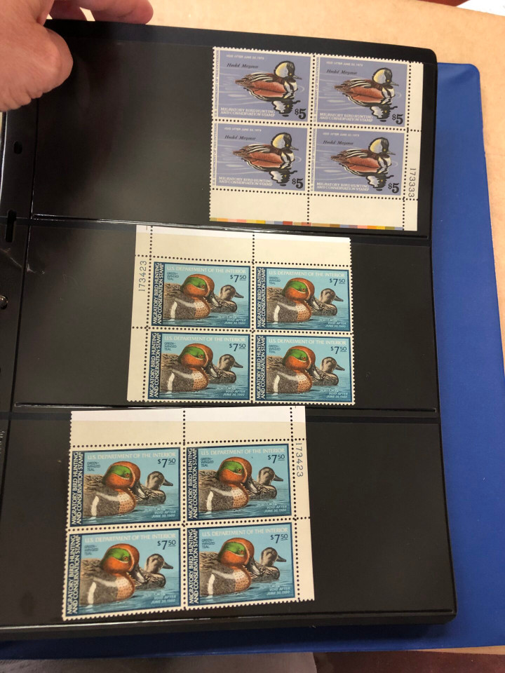 DUCKS – PREMIUM PLATE NUMBER BLOCKS – 426091