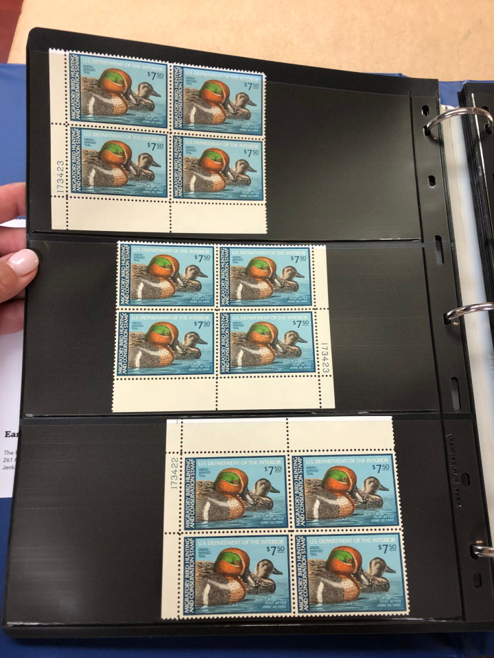 DUCKS – PREMIUM PLATE NUMBER BLOCKS – 426091