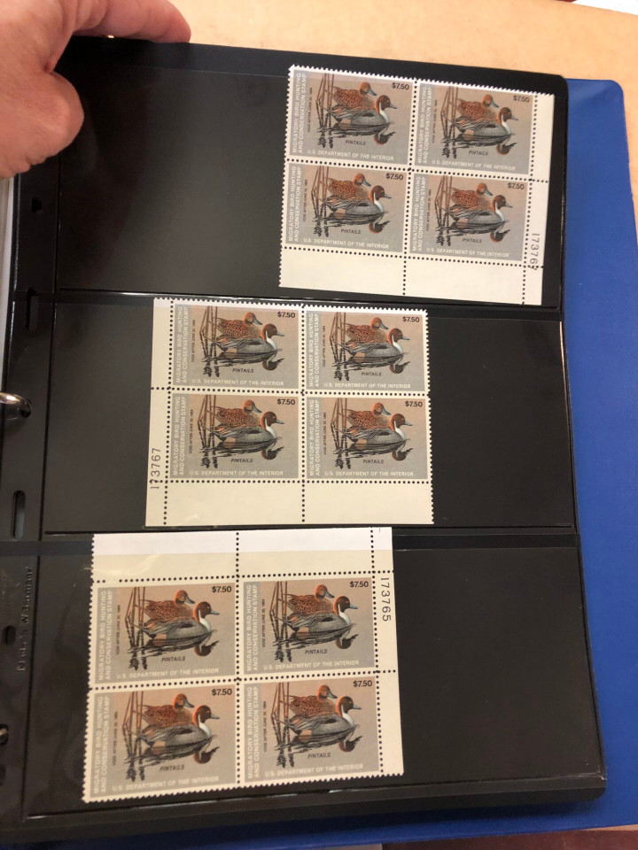 DUCKS – PREMIUM PLATE NUMBER BLOCKS – 426091