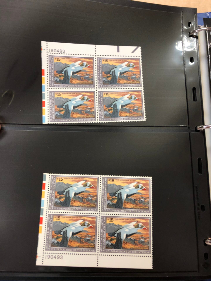 DUCKS – PREMIUM PLATE NUMBER BLOCKS – 426091