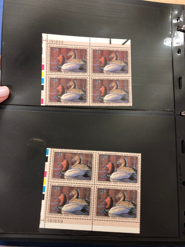 DUCKS – PREMIUM PLATE NUMBER BLOCKS – 426091