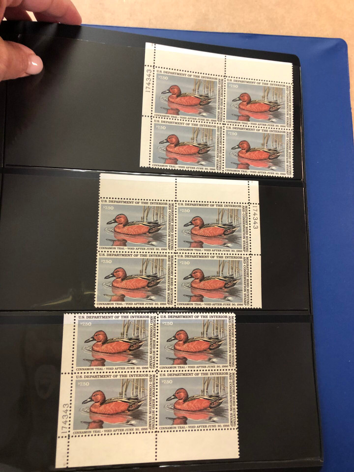 DUCKS – PREMIUM PLATE NUMBER BLOCKS – 426091