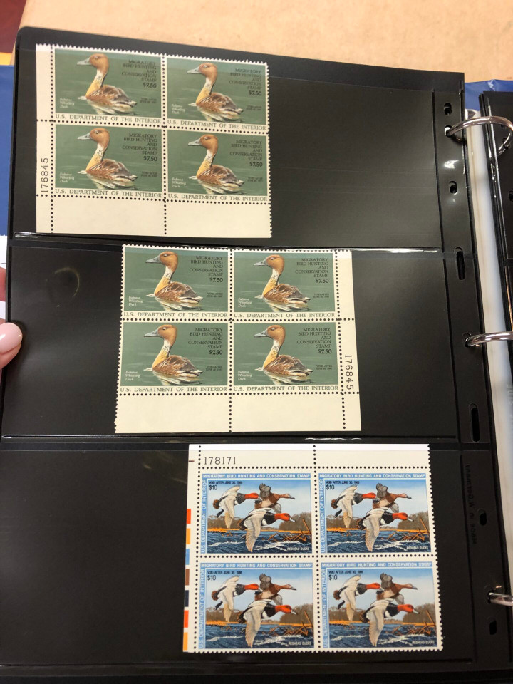 DUCKS – PREMIUM PLATE NUMBER BLOCKS – 426091