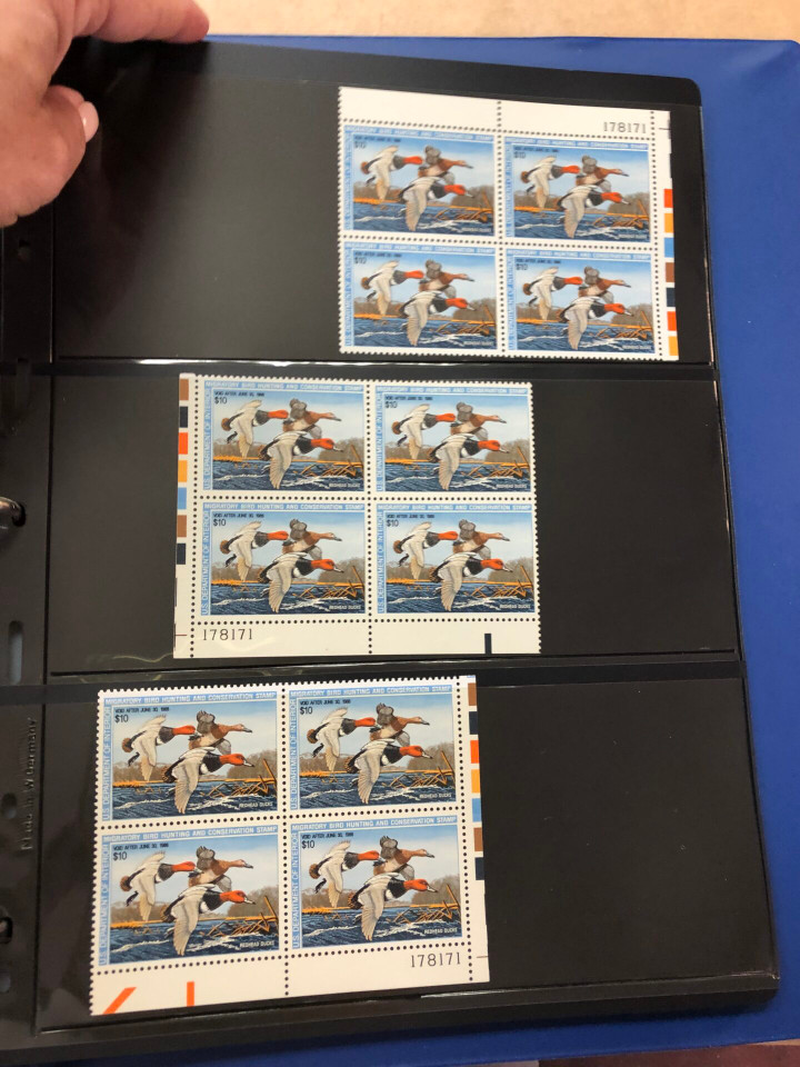 DUCKS – PREMIUM PLATE NUMBER BLOCKS – 426091