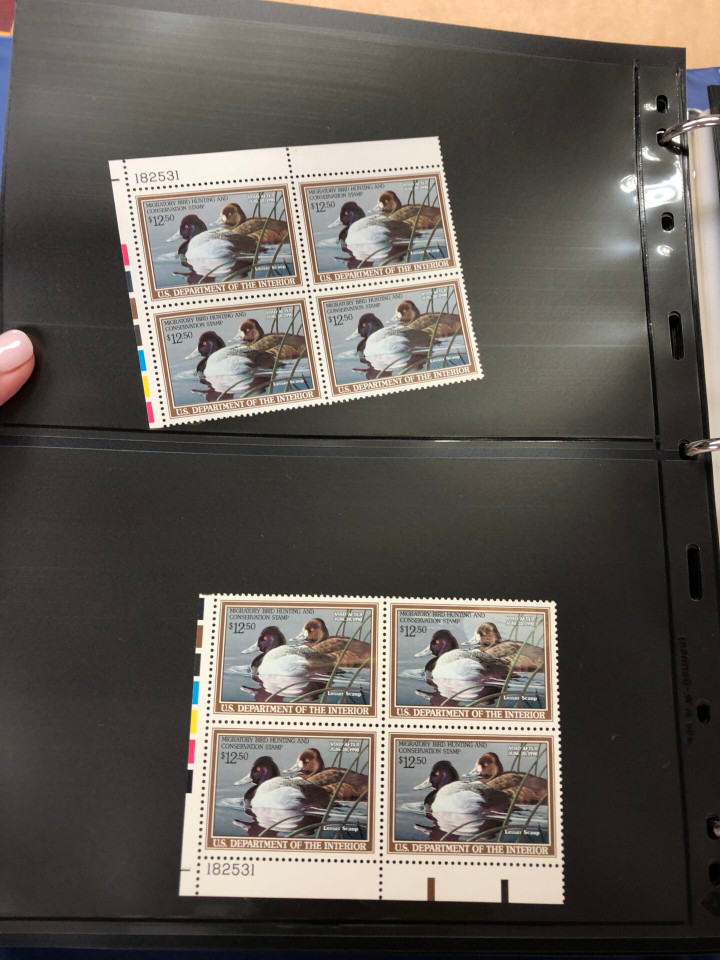 DUCKS – PREMIUM PLATE NUMBER BLOCKS – 426091