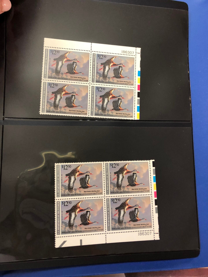 DUCKS – PREMIUM PLATE NUMBER BLOCKS – 426091