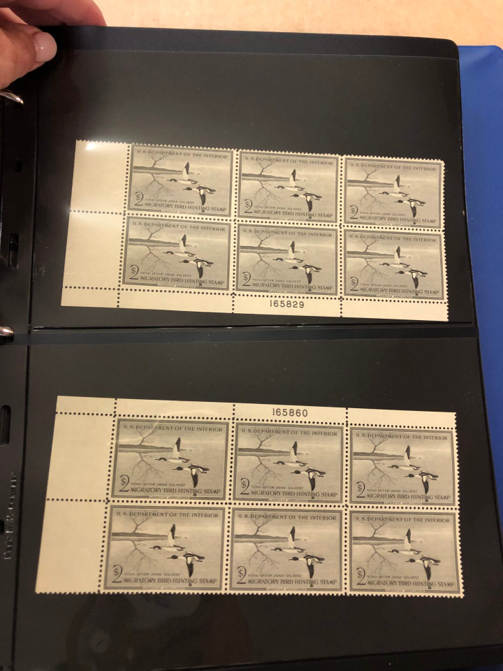 DUCKS – PREMIUM PLATE NUMBER BLOCKS – 426091