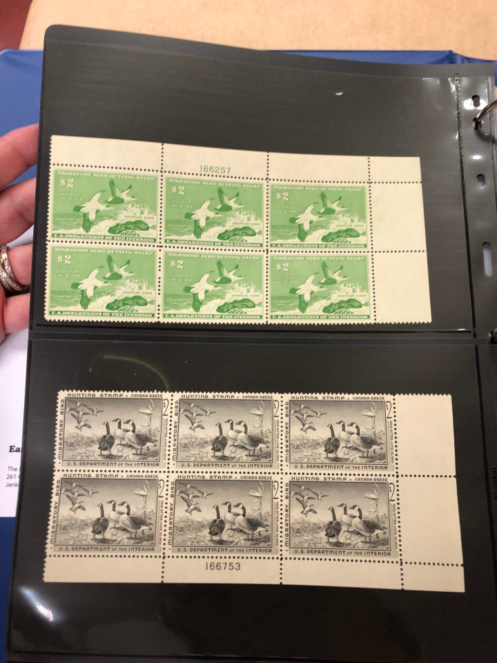 DUCKS – PREMIUM PLATE NUMBER BLOCKS – 426091