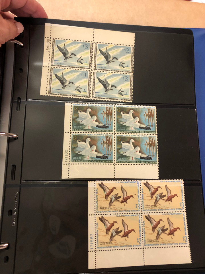 DUCKS – PREMIUM PLATE NUMBER BLOCKS – 426091