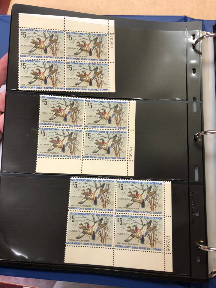 DUCKS – PREMIUM PLATE NUMBER BLOCKS – 426091