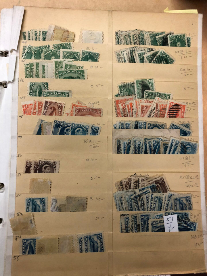 NEWFOUNDLAND – 426077