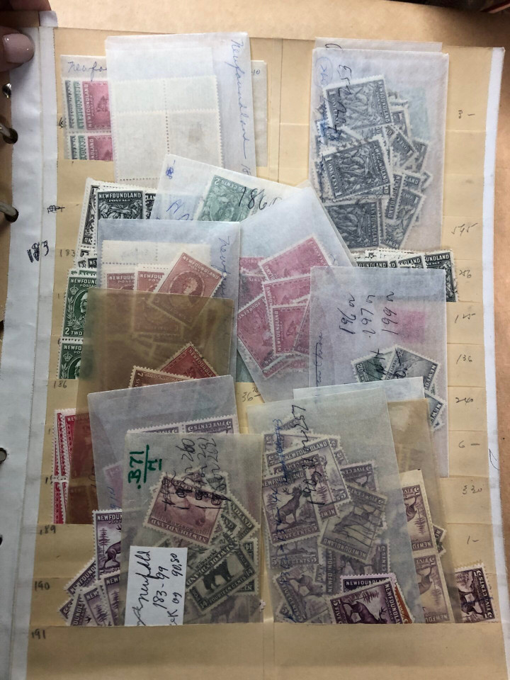 NEWFOUNDLAND – 426077