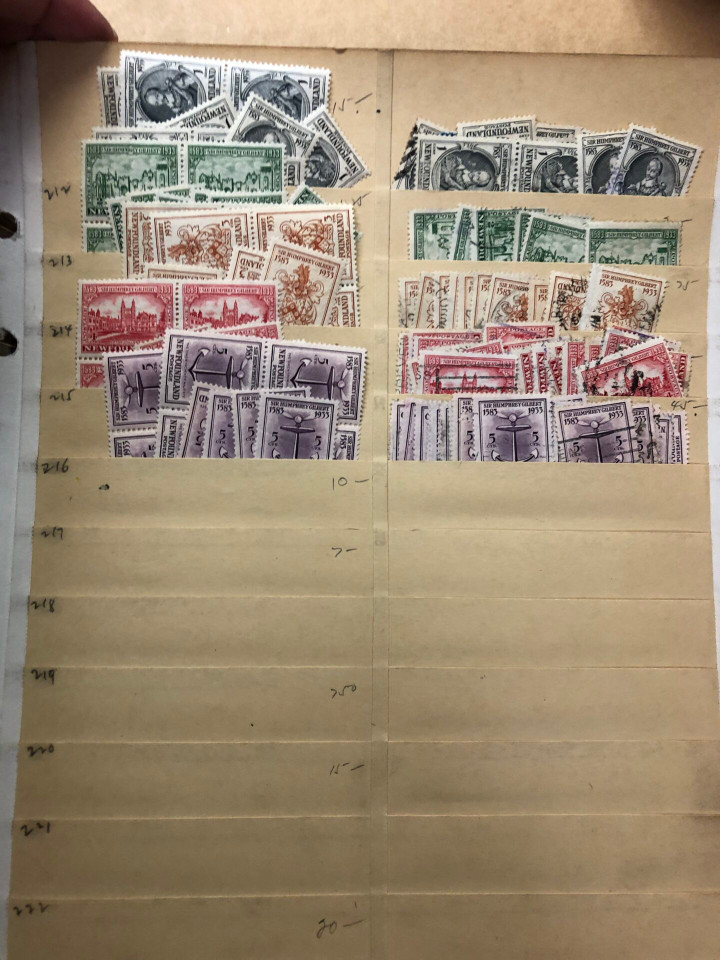 NEWFOUNDLAND – 426077