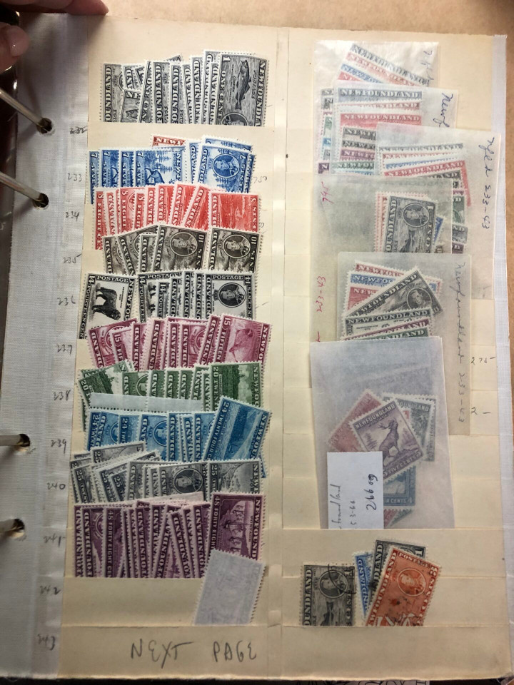 NEWFOUNDLAND – 426077