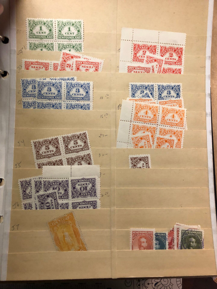 NEWFOUNDLAND – 426077