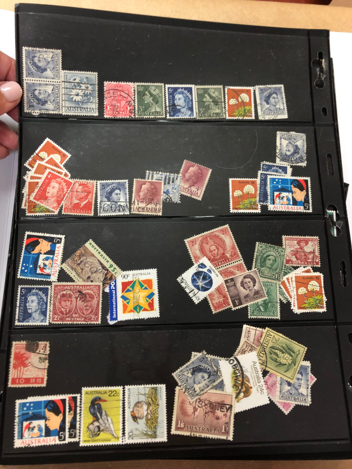 INTERNATIONAL SELECTION – 426040