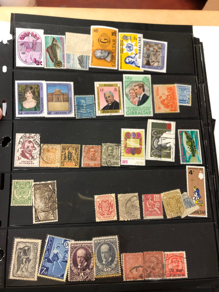 INTERNATIONAL SELECTION – 426040