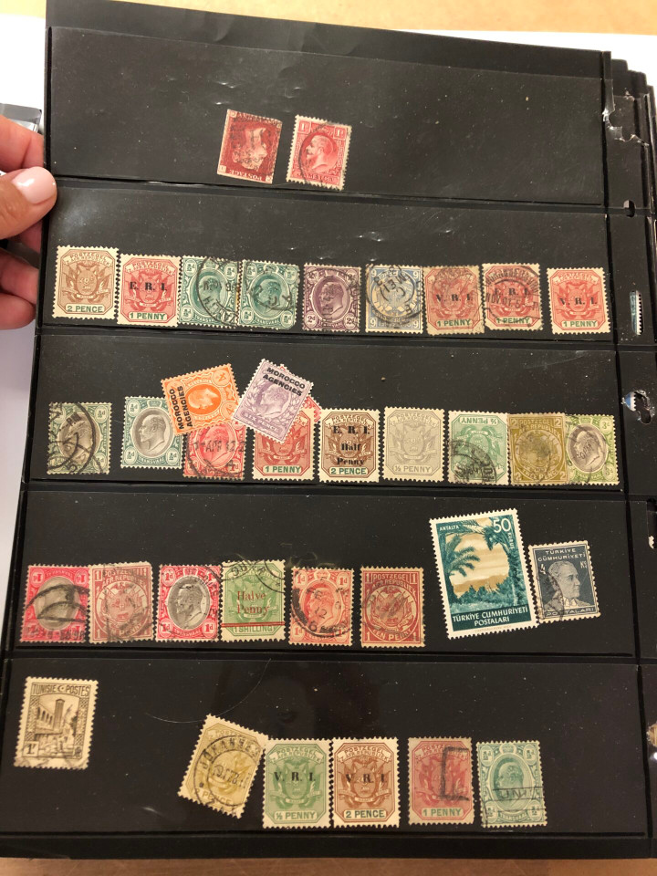 INTERNATIONAL SELECTION – 426040