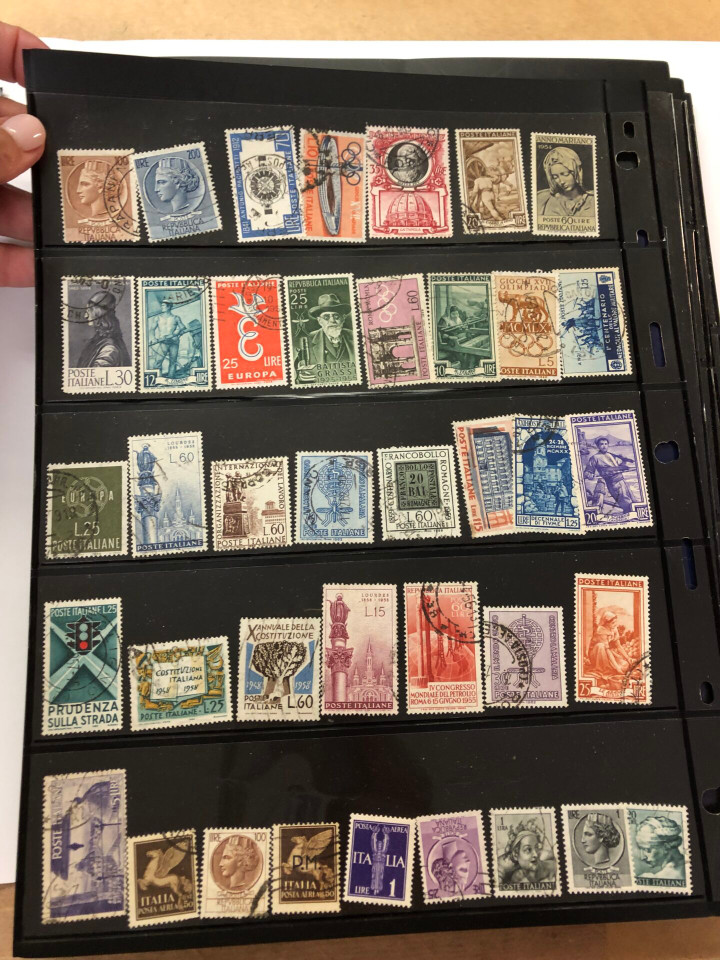 INTERNATIONAL SELECTION – 426040