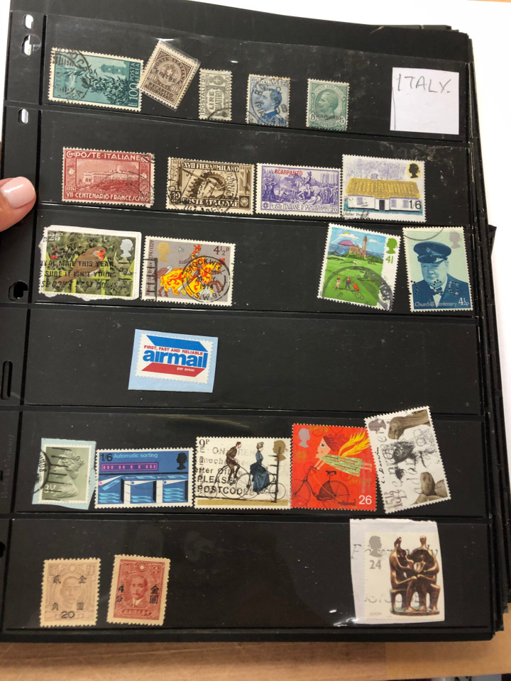 INTERNATIONAL SELECTION – 426040