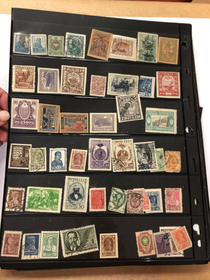 INTERNATIONAL SELECTION – 426040