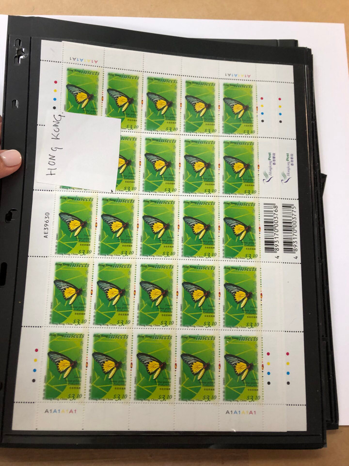 INTERNATIONAL SELECTION – 426040