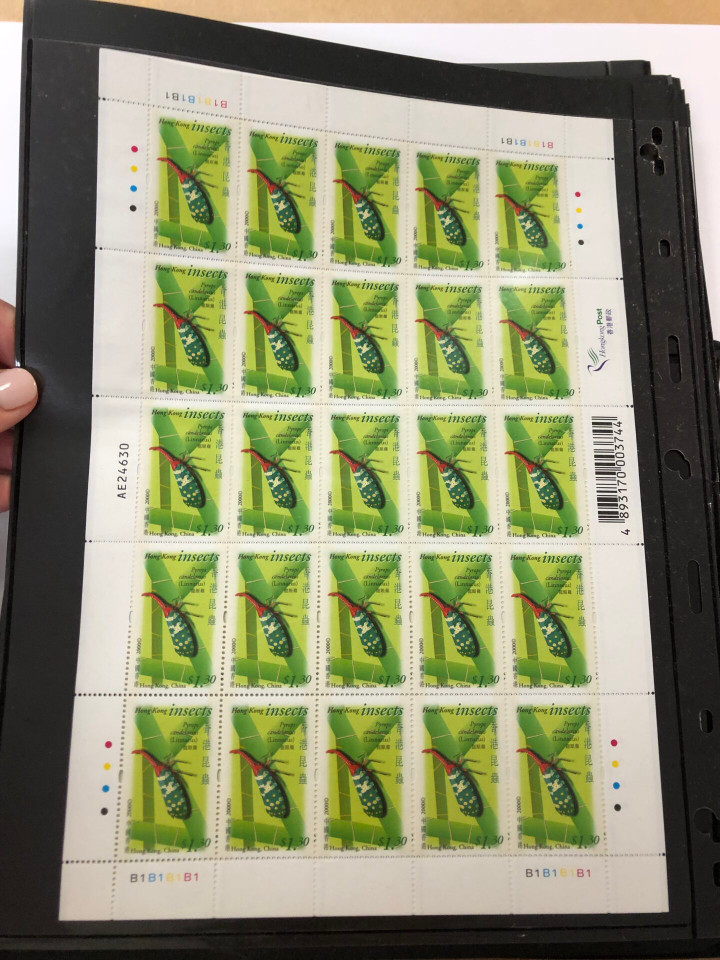 INTERNATIONAL SELECTION – 426040