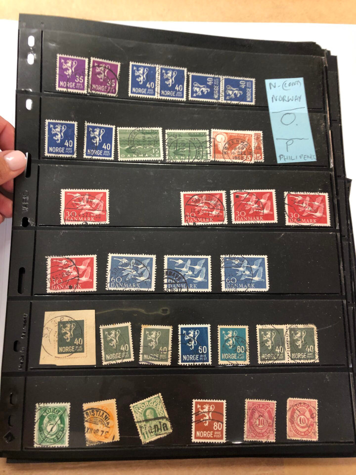 INTERNATIONAL SELECTION – 426040